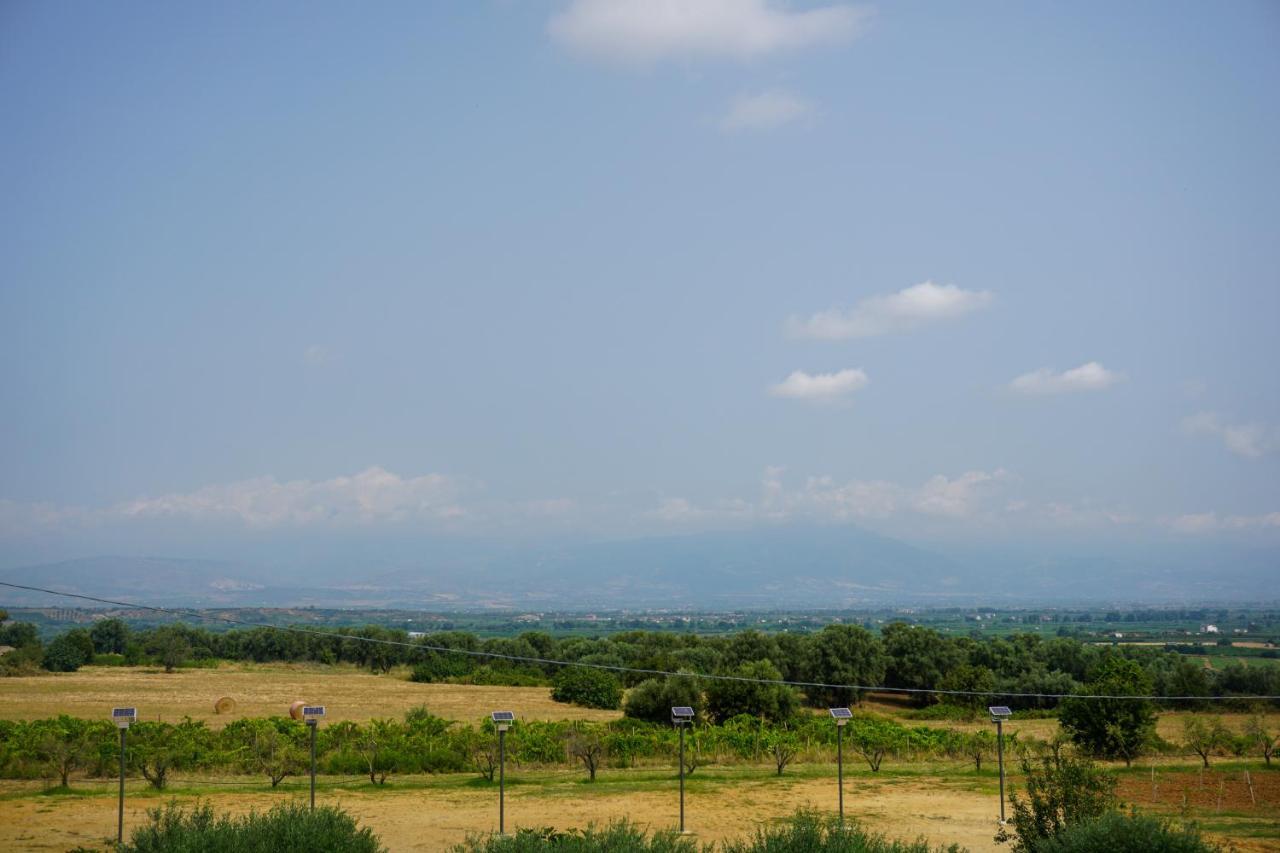 Agriturismo Casacchella مارينا دي سيباري المظهر الخارجي الصورة
